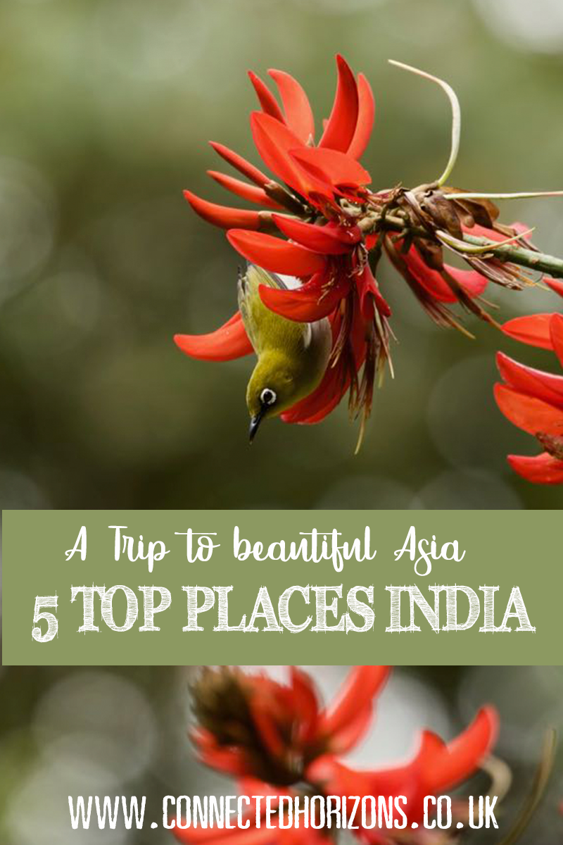 top places india